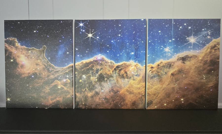 Real photograph displayed across multiple canvas panels